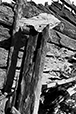 What Remains 15